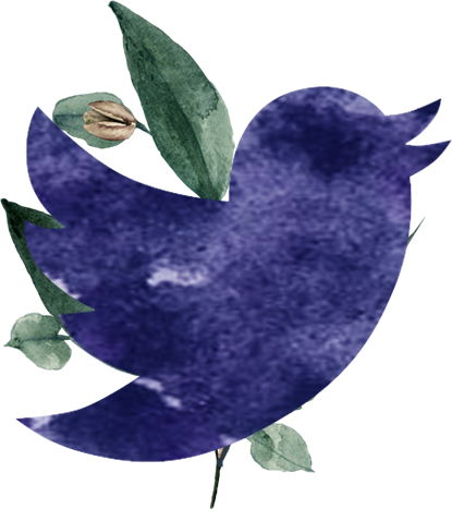 Follow us on Twitter